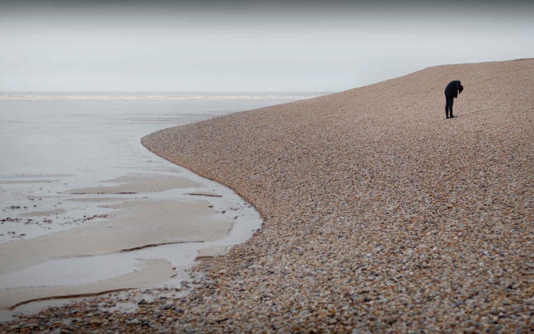 the little prince – DUNGENESS